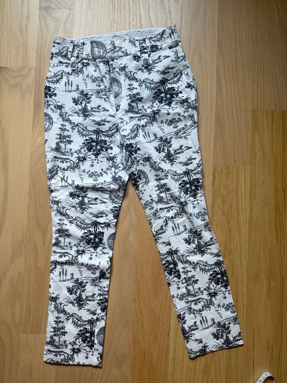 Anthropologie Toile Print Capris